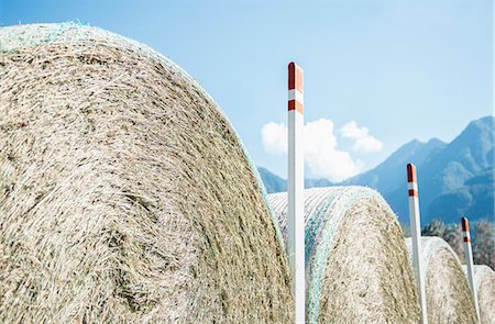 simsearch:649-08239053,k - Row of circular haystacks and blue sky Foto de stock - Sin royalties Premium, Código: 649-08824486