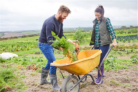 simsearch:649-08824789,k - Couple on farm harvesting carrots Photographie de stock - Premium Libres de Droits, Code: 649-08824754