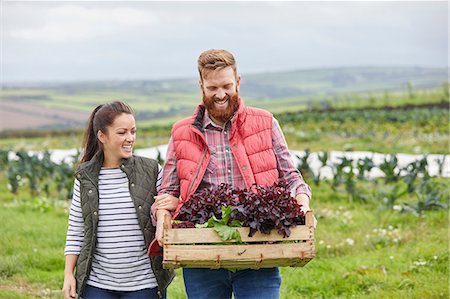 simsearch:632-02885507,k - Couple on farm holding freshly harvested lettuce in wooden crate Photographie de stock - Premium Libres de Droits, Code: 649-08824762