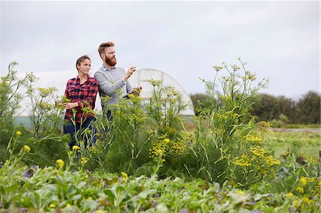 simsearch:649-08824789,k - Couple on farmland using digital tablet Photographie de stock - Premium Libres de Droits, Code: 649-08824798