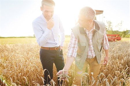 food production - Farmer and businessman in wheat field quality checking wheat Stock Photo - Premium Royalty-Free, Code: 649-08825158