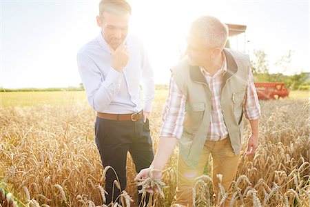 farmer in wheat field - Farmer and businessman in wheat field quality checking wheat Foto de stock - Sin royalties Premium, Código: 649-08825158