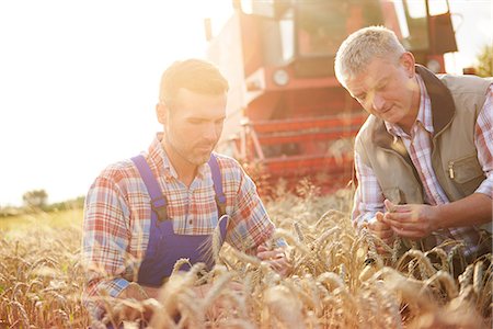 simsearch:649-08825150,k - Farmers in wheat field quality checking wheat Foto de stock - Sin royalties Premium, Código: 649-08825150