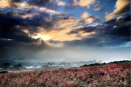View of Reynoldston village in mist from bracken, Gower, Wales Foto de stock - Sin royalties Premium, Código: 649-08840182