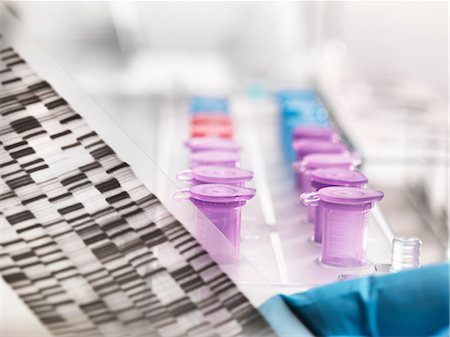 eppendorf tube - Scientist holding a DNA autoradiogram gel showing genetic information with samples in tray Foto de stock - Sin royalties Premium, Código: 649-08859414