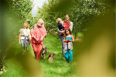 family dog lifestyle - Family walking dog in apple orchard Foto de stock - Sin royalties Premium, Código: 649-08859593