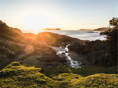 Coastal landscape at sunset, Pacific Rim National Park, Vancouver Island, British Columbia, Canada Stockbilder - Premium RF Lizenzfrei, Bildnummer: 649-08860022