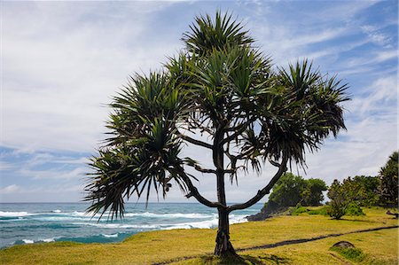 simsearch:649-09123469,k - Coastal landscape and Indian Ocean, Reunion Island Stock Photo - Premium Royalty-Free, Code: 649-08860386