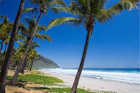 simsearch:841-05794650,k - Beach landscape with palm trees and Indian Ocean, Reunion Island Foto de stock - Royalty Free Premium, Número: 649-08860381