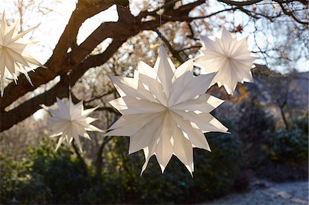 four (quantity) - White handmade paper stars hanging from sunlit tree branches Stock Photo - Premium Royalty-Free, Code: 649-08860406