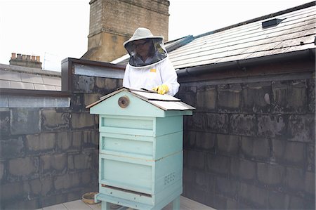 simsearch:614-08826897,k - Beekeeper wearing beesuit, preparing to inspect hive Stock Photo - Premium Royalty-Free, Code: 649-08860408
