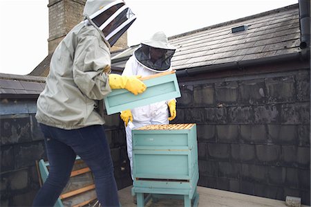 simsearch:614-08826897,k - Two female beekeepers, inspecting hive Stock Photo - Premium Royalty-Free, Code: 649-08860409