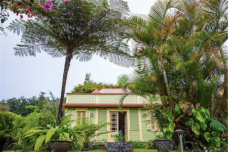 Traditional green wooden house and palm trees, Reunion Island Photographie de stock - Premium Libres de Droits, Code: 649-08860402