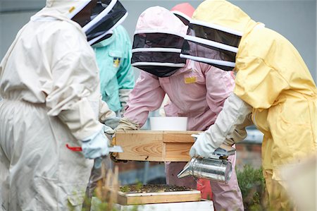 simsearch:614-08826902,k - Group of beekeepers inspecting hive Foto de stock - Sin royalties Premium, Código: 649-08860414
