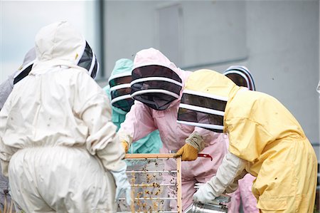 simsearch:649-07803949,k - Group of beekeepers inspecting hive Stock Photo - Premium Royalty-Free, Code: 649-08860415