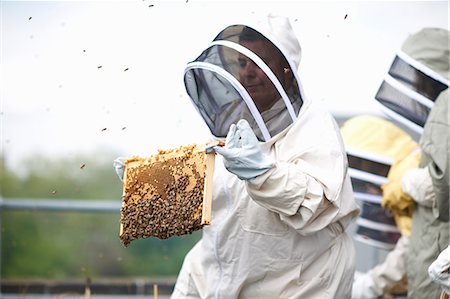 simsearch:614-08826897,k - Beekeeper holding hive frame Stock Photo - Premium Royalty-Free, Code: 649-08860416