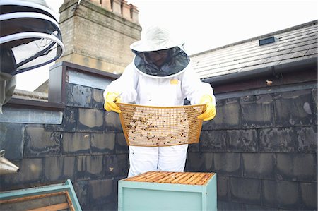 simsearch:614-08826897,k - Two female beekeepers, inspecting hive Stock Photo - Premium Royalty-Free, Code: 649-08860410