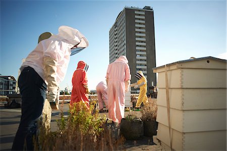 Beekeepers tending aviary on city rooftop Stock Photo - Premium Royalty-Free, Code: 649-08860444