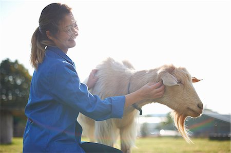 Farm worker tending to goats Foto de stock - Sin royalties Premium, Código: 649-08894569