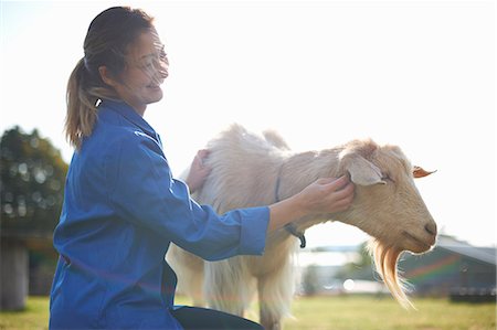 people and animals - Farm worker tending to goats Stock Photo - Premium Royalty-Free, Code: 649-08894569