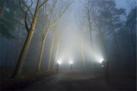 Three people shining lights, Illuminating the woods in heavy fog Stock Photo - Premium Royalty-Free, Code: 649-08894793
