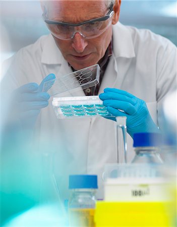 pharmaceutical research - Biotechnology Research, scientist viewing samples in a multi well plate during an experiment in the laboratory Stock Photo - Premium Royalty-Free, Code: 649-08894945