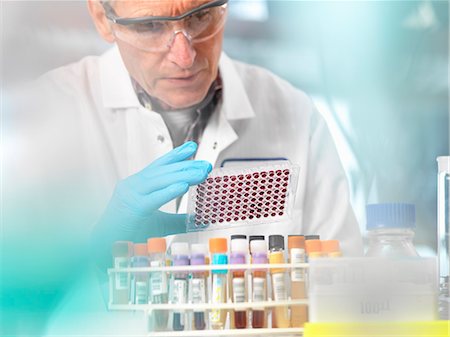 simsearch:649-07596080,k - Scientist preparing blood samples in a multi well plate for clinical testing in a laboratory Foto de stock - Sin royalties Premium, Código: 649-08894949