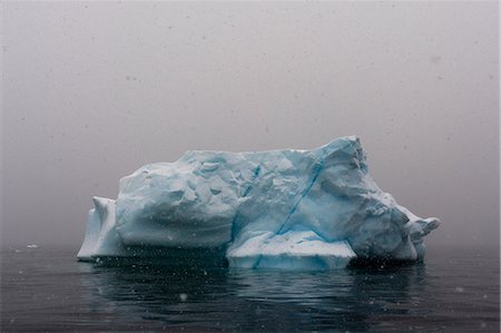 simsearch:6118-07353674,k - Snowstorm over icebergs in Portal Point, Antarctica Fotografie stock - Premium Royalty-Free, Codice: 649-08895053