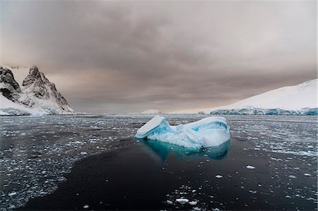 simsearch:6118-07731989,k - Icebergs in Lemaire channel, Antarctic Stock Photo - Premium Royalty-Free, Code: 649-08895076