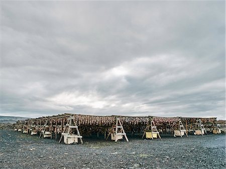 row fish - Racks of fish drying outdoor,  Reykjavik, Iceland Stock Photo - Premium Royalty-Free, Code: 649-08895160