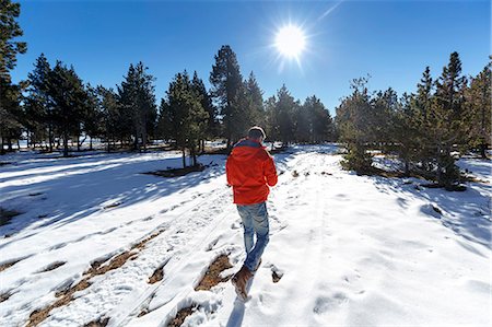 simsearch:649-08900389,k - Rear view of man walking in snow covered forest Stock Photo - Premium Royalty-Free, Code: 649-08900379