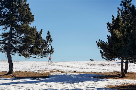 simsearch:649-08543407,k - Man walking dog in snow covered horizon Stockbilder - Premium RF Lizenzfrei, Bildnummer: 649-08900392
