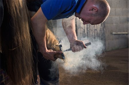 Farrier fitting horse with horseshoes Stock Photo - Premium Royalty-Free, Code: 649-08900556