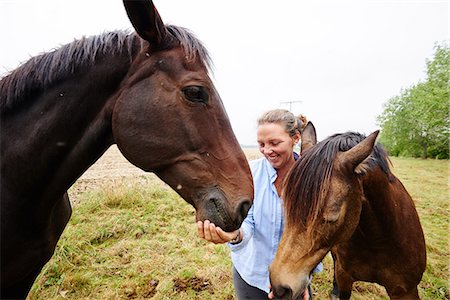 simsearch:649-08900813,k - Woman feeding two horses in field Stock Photo - Premium Royalty-Free, Code: 649-08900815