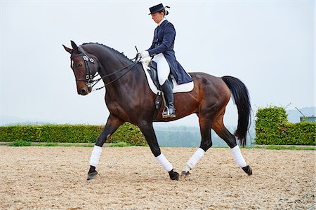 dressage - Female rider trotting while training dressage horse in equestrian arena Photographie de stock - Premium Libres de Droits, Code: 649-08900824