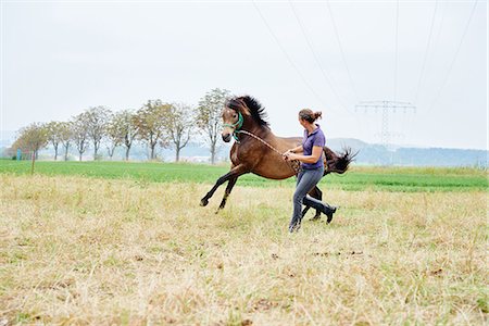 Woman running and leading horse while training in field Stock Photo - Premium Royalty-Free, Code: 649-08900823