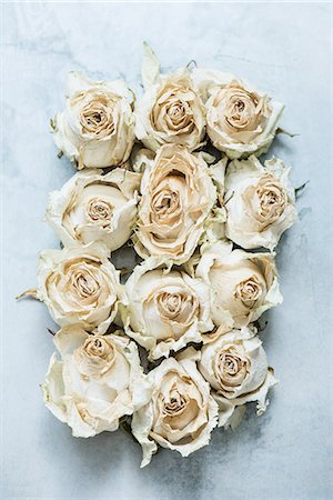 simsearch:614-08908300,k - Dried rose heads, close-up, overhead view Stockbilder - Premium RF Lizenzfrei, Bildnummer: 649-08902161