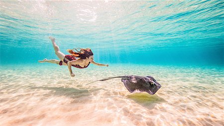 environmental sciences - Female free diver swimming with stingray on seabed Stock Photo - Premium Royalty-Free, Code: 649-08902264