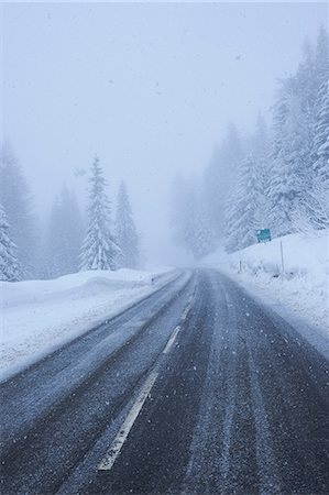 simsearch:614-09213873,k - Rural forest road in falling snow, Gstaad, Switzerland Photographie de stock - Premium Libres de Droits, Code: 649-08924213