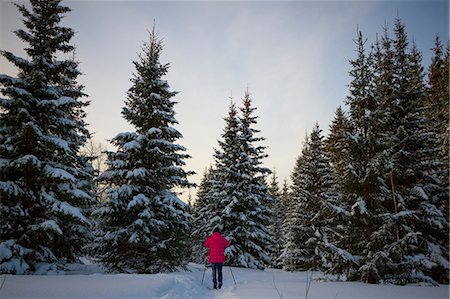 racchetta da sci - Teenage girl, cross country skiing, rear view, Chusovo, Russia Fotografie stock - Premium Royalty-Free, Codice: 649-08924687