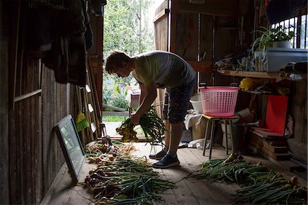 simsearch:649-08924927,k - Young man sorting freshly picked onions in garden shed Foto de stock - Sin royalties Premium, Código: 649-08924926