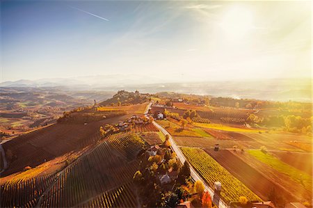 Sunlit view from hot air balloon of rolling landscape and autumn vineyards, Langhe, Piedmont, Italy Stockbilder - Premium RF Lizenzfrei, Bildnummer: 649-08923155