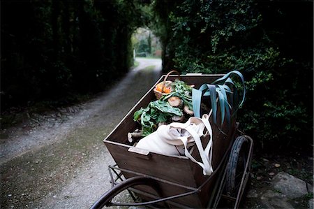 simsearch:649-06829480,k - Handcart of freshly picked spring greens and squash vegetable  in garden Stockbilder - Premium RF Lizenzfrei, Bildnummer: 649-08923242