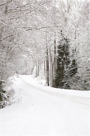 simsearch:649-08923486,k - Snow landscape, Tammela, Forssa, Finland Photographie de stock - Premium Libres de Droits, Code: 649-08923491