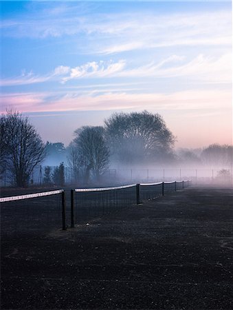 simsearch:649-06844890,k - Row of tennis nets in misty park at sunrise Foto de stock - Sin royalties Premium, Código: 649-08923825