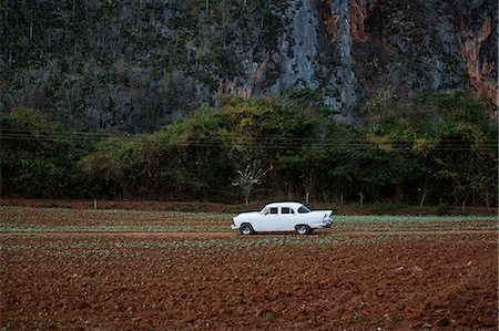 field cuba - White vintage car on field dirt track, Vinales, Cuba Stock Photo - Premium Royalty-Free, Code: 649-08923879