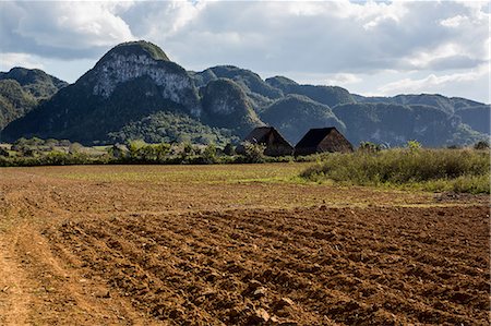 Ploughed field with mountain landscape, Vinales, Cuba Stock Photo - Premium Royalty-Free, Code: 649-08923886