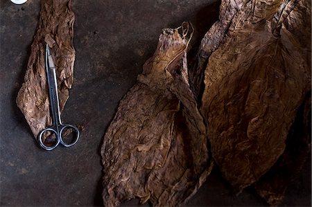 Overhead view of scissors and tobacco leaves on workbench, Vinales, Cuba Stock Photo - Premium Royalty-Free, Code: 649-08923883