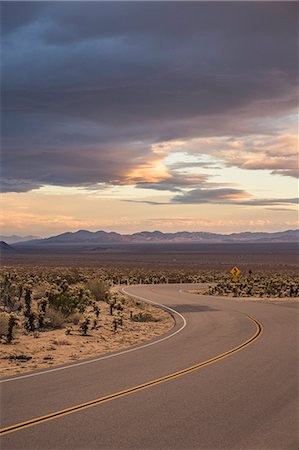 Landscape view of winding road in Joshua Tree National Park at dusk, California, USA Stock Photo - Premium Royalty-Free, Code: 649-08949337