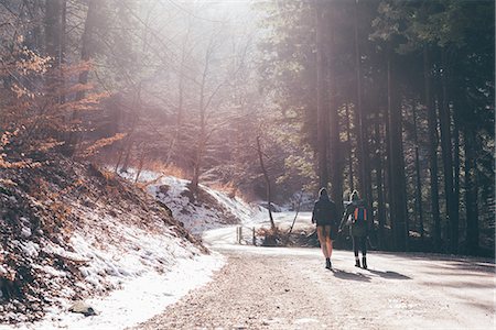 simsearch:649-09213699,k - Rear view of hiking couple on sunlit forest road, Monte San Primo, Italy Stockbilder - Premium RF Lizenzfrei, Bildnummer: 649-08949529